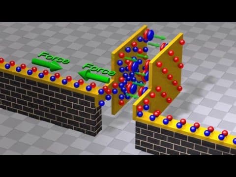Capacitors and Capacitance: Capacitor physics and circuit operation