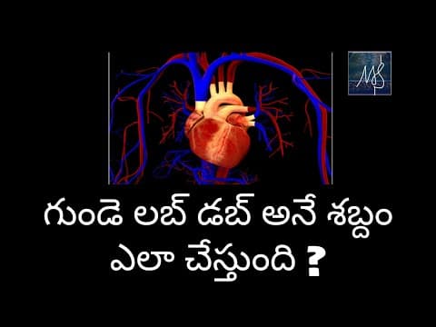 Functioning of heart explained in telugu| inside human heart