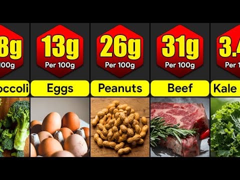 Protein comparison - highest protein foods in the world