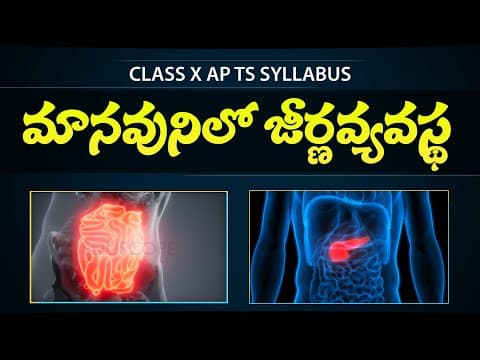 DIGESTION ABSORPTION in telugu  -  Manavunilo jeerna kriya  - Class 10th biology  -  Eduscope 10th science