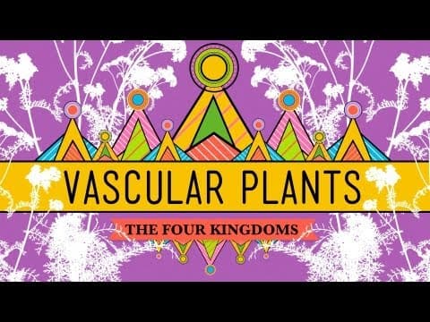 Vascular Plants = Winning! - Crash Course Biology #37 - YouTube