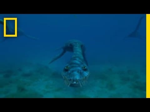 Sea Monsters