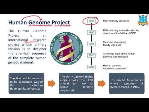 What is Human Genome Project ? || Human Genome Project అంటే ఏమిటి?