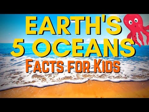 What Are The Five Oceans  - Pacific and Atlantic Ocean Indian Arctic and Southern Ocean