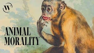 95% of your behavior is primate behavior