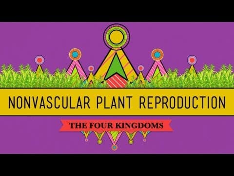 The Reproductive Lives of Nonvascular Plants: Alternation of Generations - Crash Course Biology #36 - YouTube