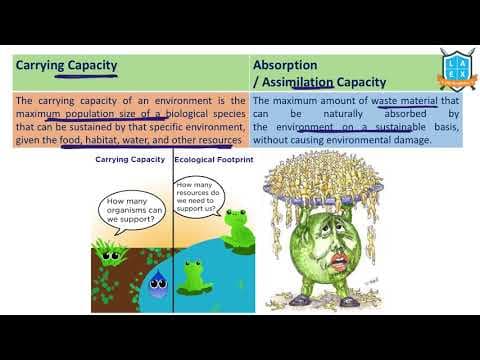 What is Carrying Capacity- Assimilation Capacity/ Absorption Capacity?- అంటే ఏమిటి?