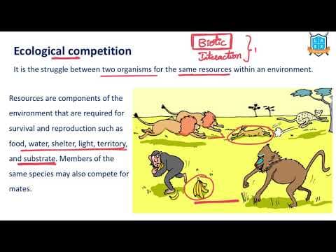 What is Ecological Competition ? || Ecological Competition అంటే ఏమిటి?