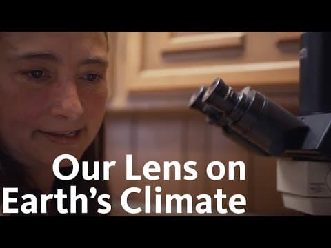 The climate clues found in LA’s Natural History Museum specimens