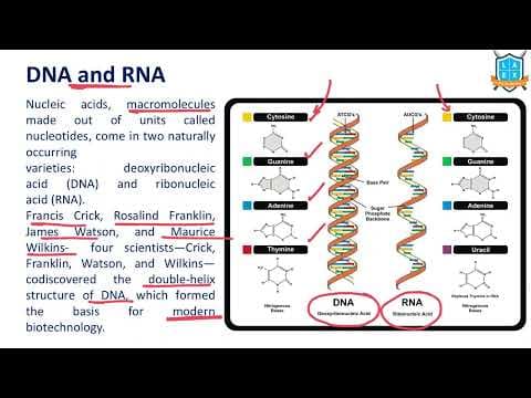 What is the meaning of DNA and RNA ? || DNA and RNA అంటే ఏమిటి?