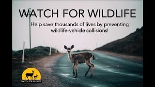 Watch for Wildlife national campaign