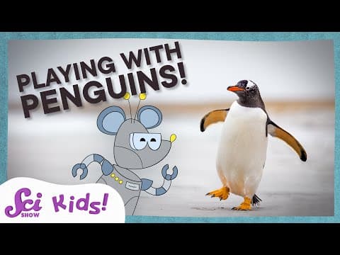 Penguins, Birds That Fly in Water