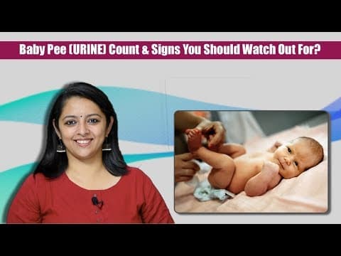 How many times should baby pee (urine) & what are the signs to watch for?