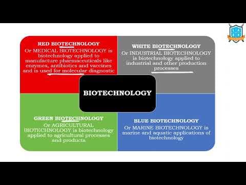 What are types of Biotechnology ? || Biotechnology అంటే ఏమిటి?