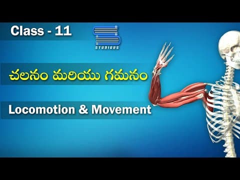 చలనం మరియు గమనం – Locomotion and Movement | Biology Telugu