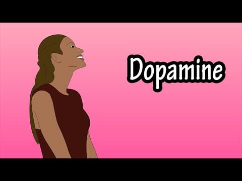 What Is Dopamine - Functions Of Dopamine In The Human Body