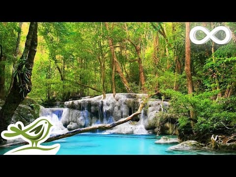 Relaxing Zen Music with Water Sounds • Relax Sleep Spa Yoga Meditation