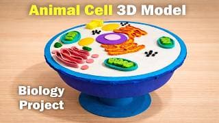 How to Make an Animal Cell Model 3D | Science Project