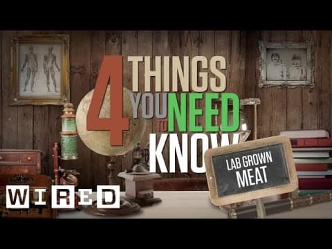 4 Things You Need To Know About Lab Grown Meat | WIRED