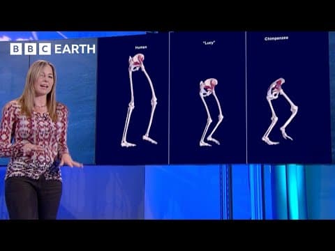 The Science Behind How Humans Walk | Prehistoric Autopsy