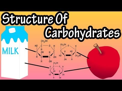 Structure Of Carbohydrates - What Are Carbohydrates Made Of -Structure Of Glucose Fructose Galactose