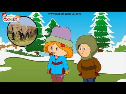 Migration of Birds , Animals for Kids