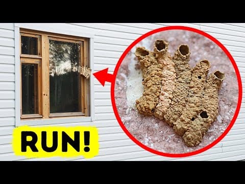 That's Not Mud, and You Should Run If You See It