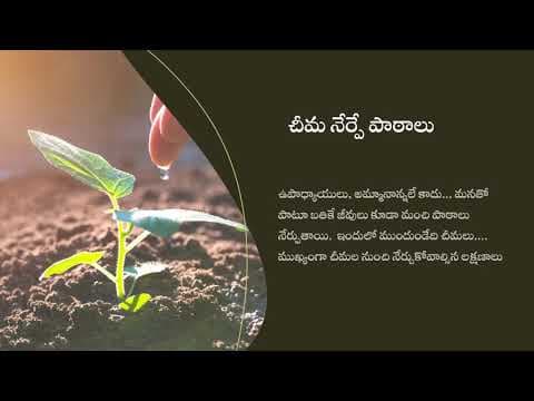 చీమ నేర్పే పాఠాలు, మంచి అలవాట్లు , క్రమశిక్షణ - ant teaching lessons in telugu - good habits
