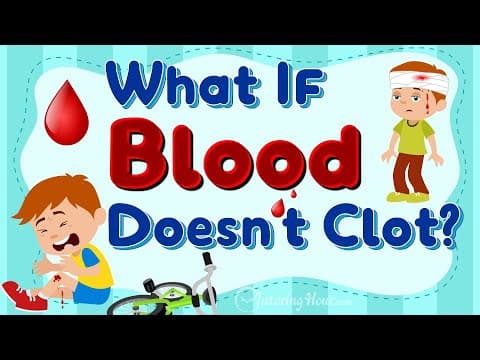 What If Earth Lost Gravity for 5 Seconds? | Unbelievable Chaos Explained with Animations