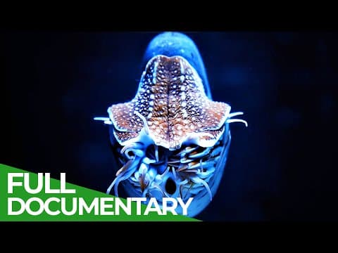 Wildlife - Just Octopuses | Free Documentary Nature
