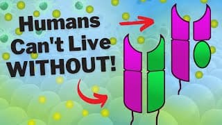 EVERY Human Would Die Without This Cell