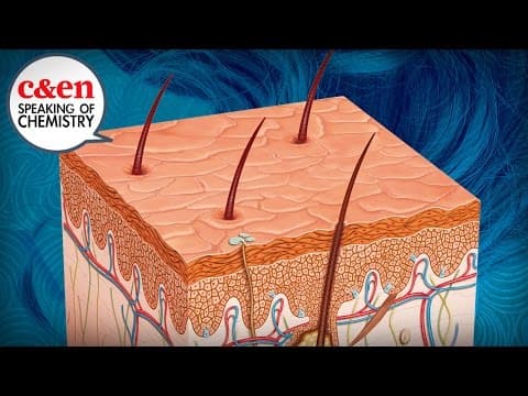 Why Does Your Hair Turn Gray? – Speaking of Chemistry