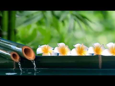 Bamboo Water Fountain - Relaxing Music Background Music Meditation Music Stress Relief
