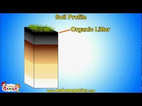 Soil Types & Soil Horizons (Profile ) Unit for Kids