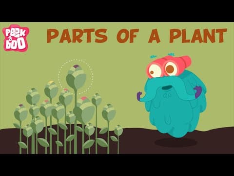 Parts of a plant - the dr binocs show - learn videos for kids