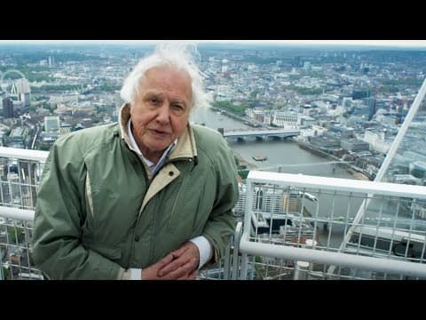 How are these cities saving the planet. David Attenborough explains