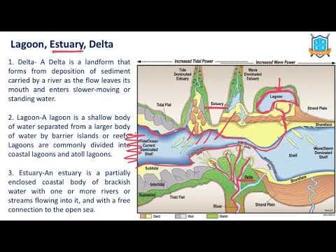 What is Lagoon - Estuary - Delta ? || Lagoon - Estuary - Delta అంటే ఏమిటి?