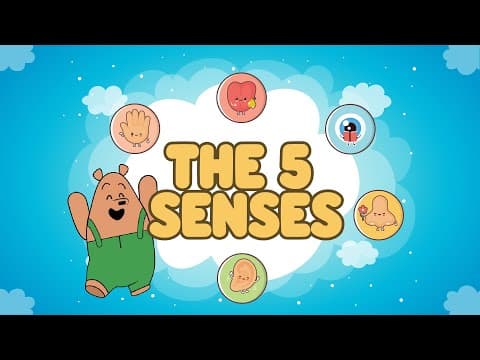 The Five Senses For Kids | Human Senses | Science Year 1| Educational Video | #PantsBear
