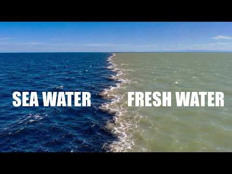 Fresh Water Meets Sea Water – Boundary Explained - YouTube