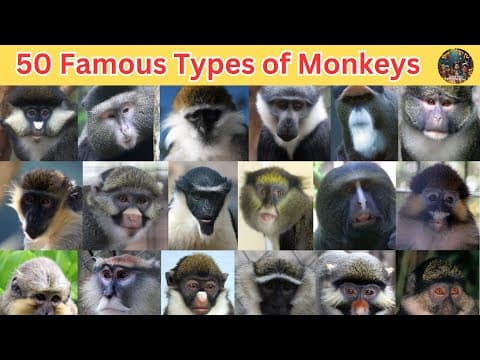 50 Famous Types of Frogs Around the World | Amazing Frog Species & Fun Facts for Kids