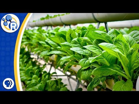 Is this the Farm of the Future?