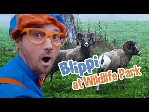 Blippi at the wildlife park - explore with blippi! - educational videos for toddlers