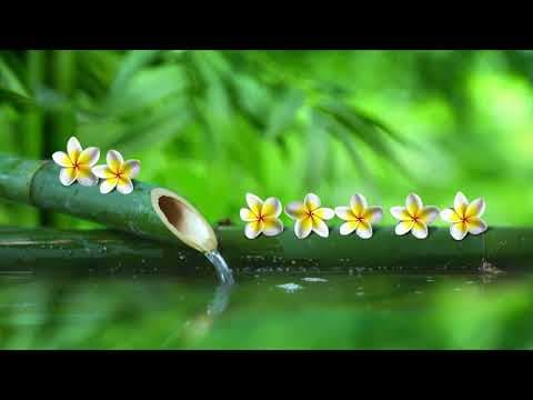 Very nice piano collection to listen to and study at the same time Meditation Spa