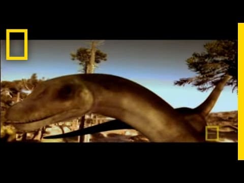 Digging Up Fossils in a Dinosaur Graveyard