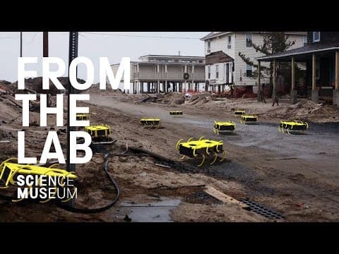 The robot finding earthquake survivors - YouTube