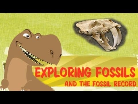 Exploring fossil records how fossils are formed