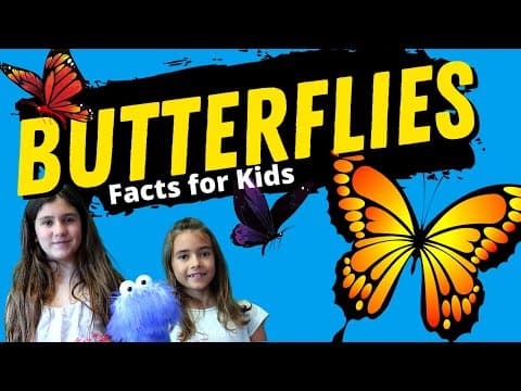 Butterfly Facts  - Butterfly Life Cycle