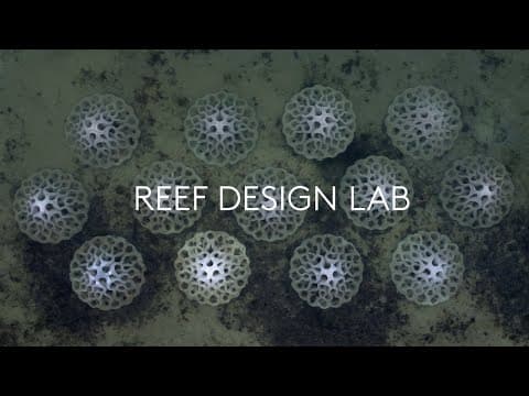 Protecting coastlines and marine life with artful artificial reef structures