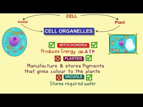 Cell Organelles | Mitochondria | Plastids | Vacuoles | Biology