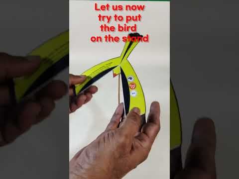 Balancing a Bird - Centre of Gravity